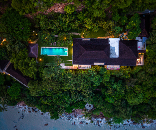 The Palm